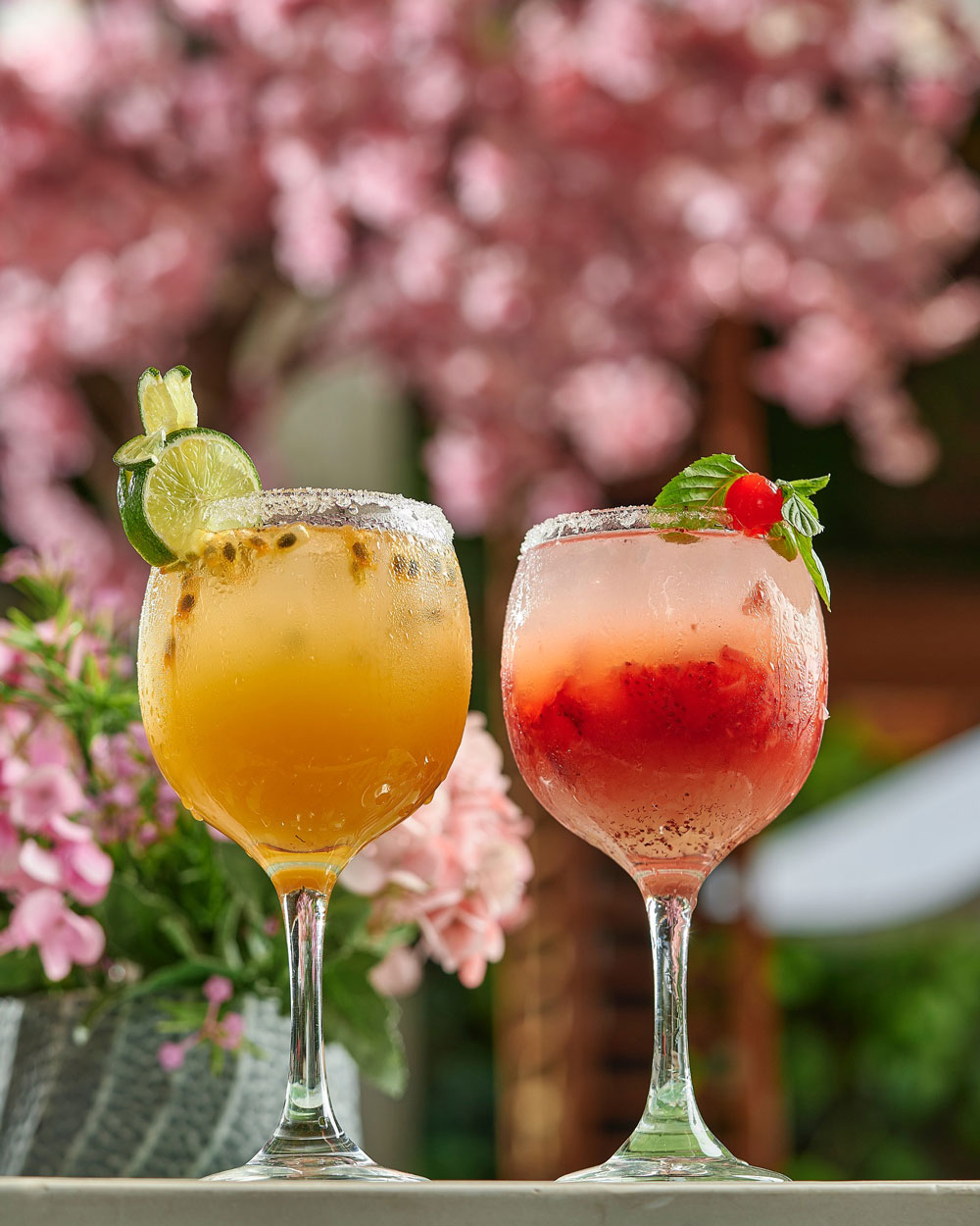 Cocteles de la casa